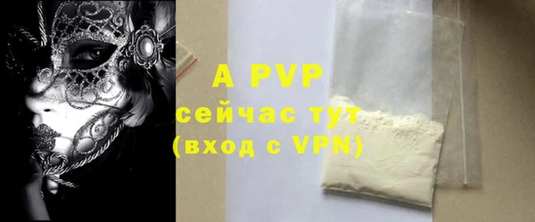 индика Аркадак