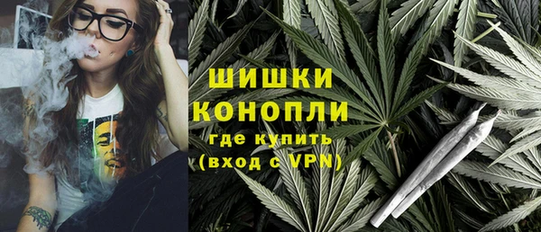 индика Аркадак