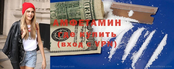 индика Аркадак
