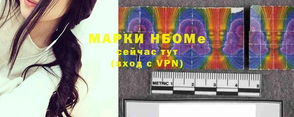 индика Аркадак