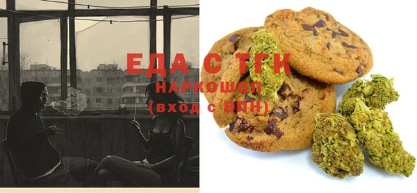 индика Аркадак