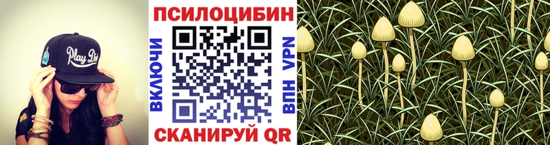 Купить  Новая Ляля  Псилоцибиновые грибы мухоморы 