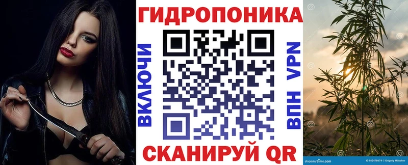 Бошки марихуана Bruce Banner  Купить закладки  Новая Ляля 